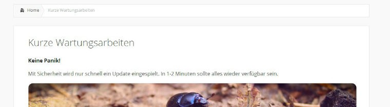 WordPress Wartungsmodus Seite verschönern