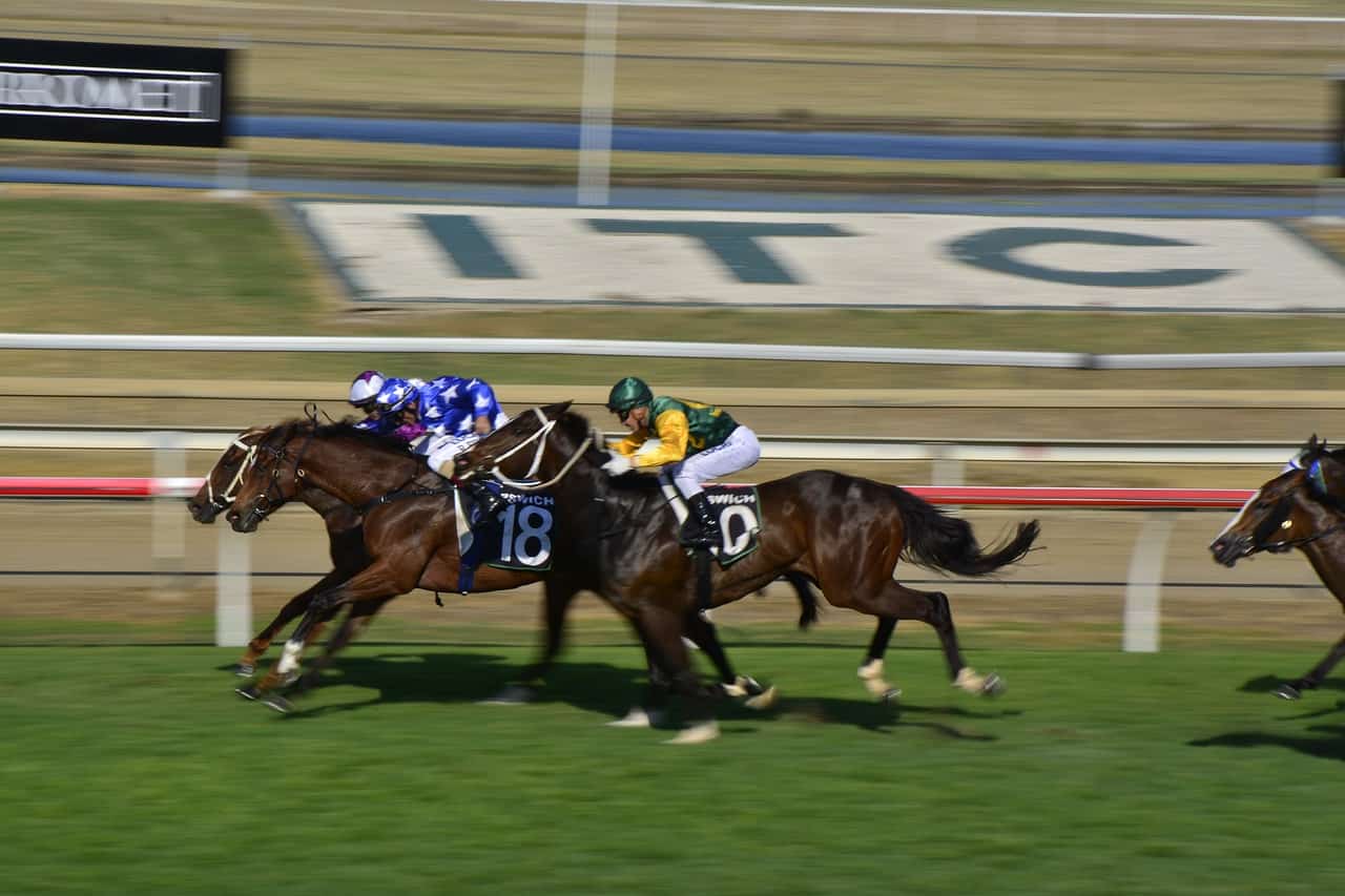 Hoppegarten Pferderennen Hoppegarten Pferderennen